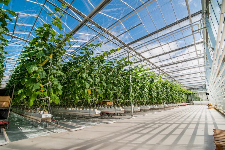 Are Greenhouses Bad for the Environment