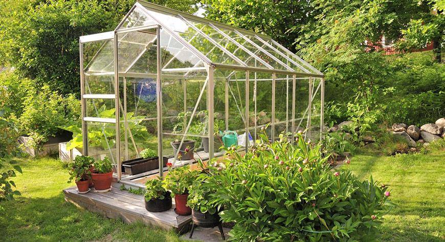 What Are The  Environmental Benefits of Greenhouses