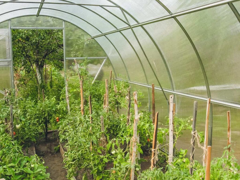 How Can Mitigation and Sustainable Practices Improve Greenhouse Farming