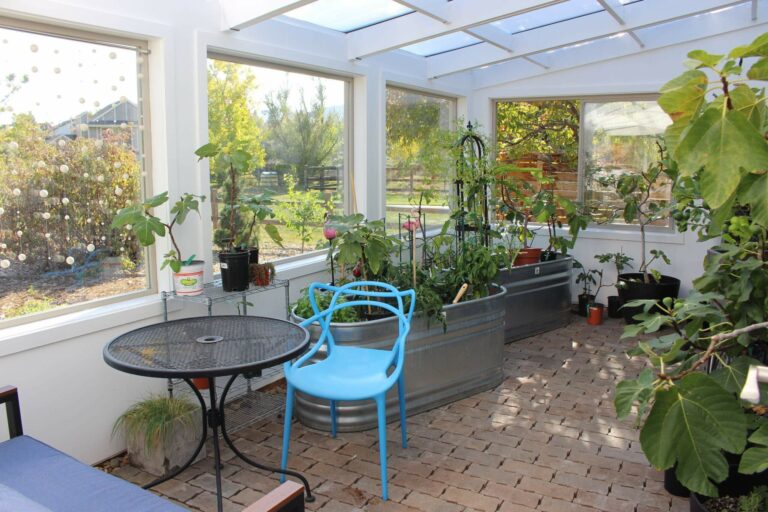 Can You Use A Greenhouse In The Summer