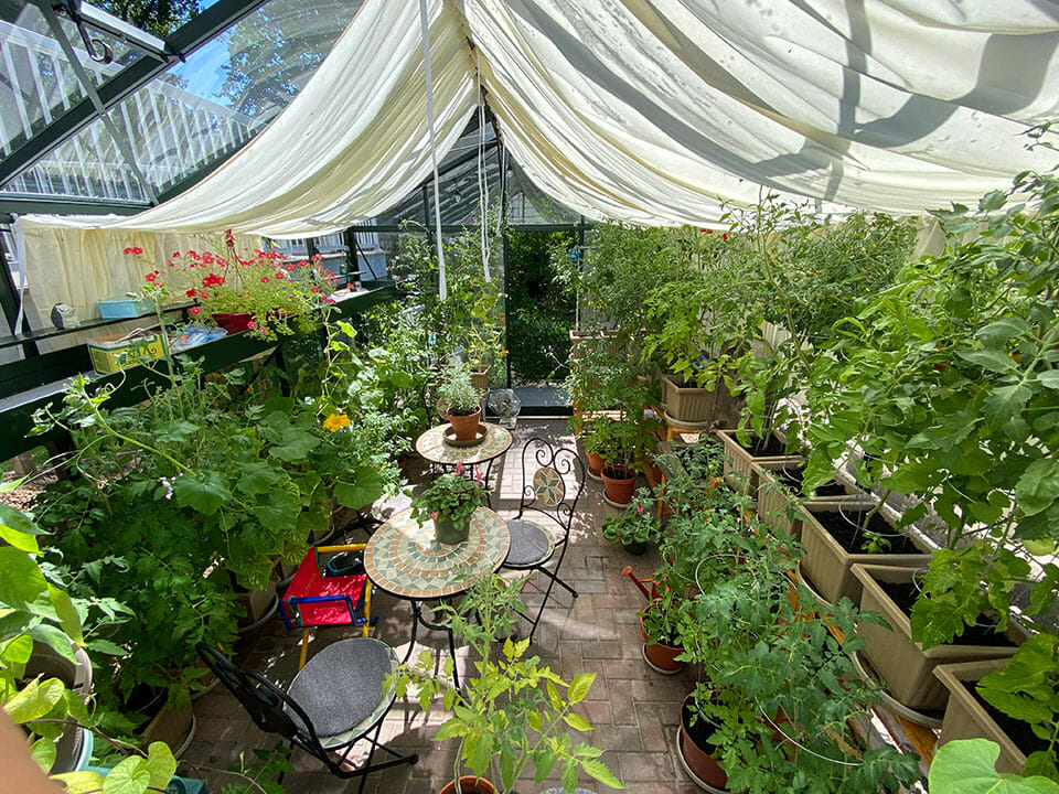 Unlocking Summer's Secrets: Harnessing the Power of Your Greenhouse