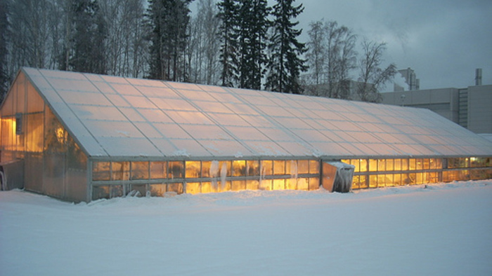 How Can Passive Solar Heating Enhance Greenhouse Efficiency