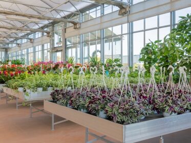 Commercial Greenhouse Prices