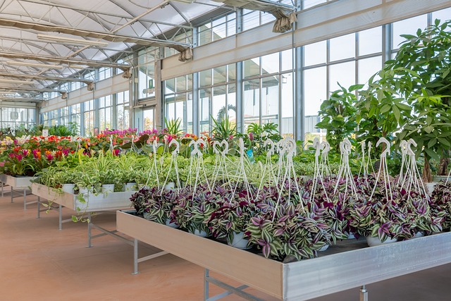 Commercial Greenhouse Prices