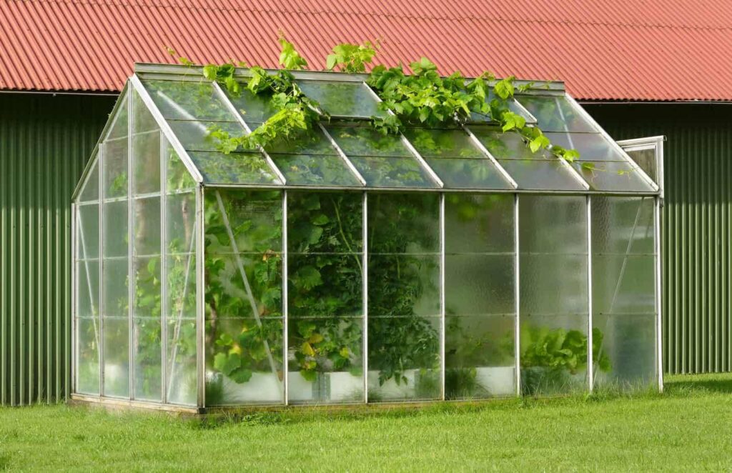 What are the advantages of greenhouses
