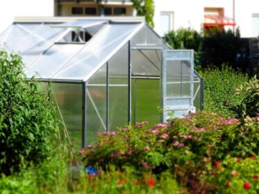 Greenhouse Vs Hothouse