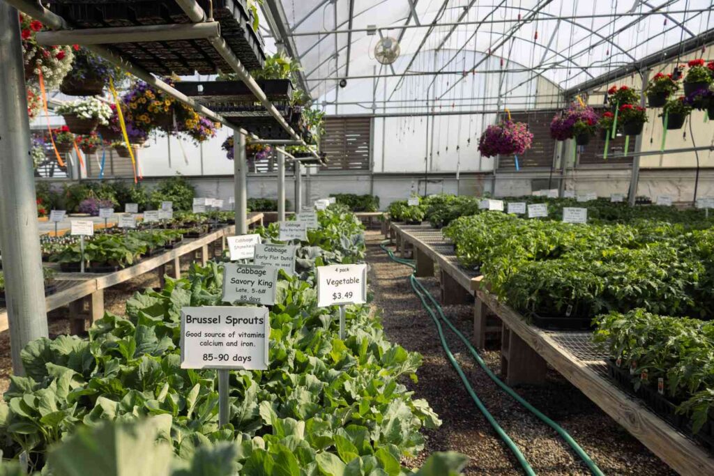 What are the benefits of greenhouse gardening