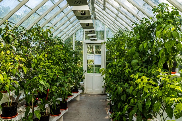 What Are the Key Factors Influencing Greenhouse Size