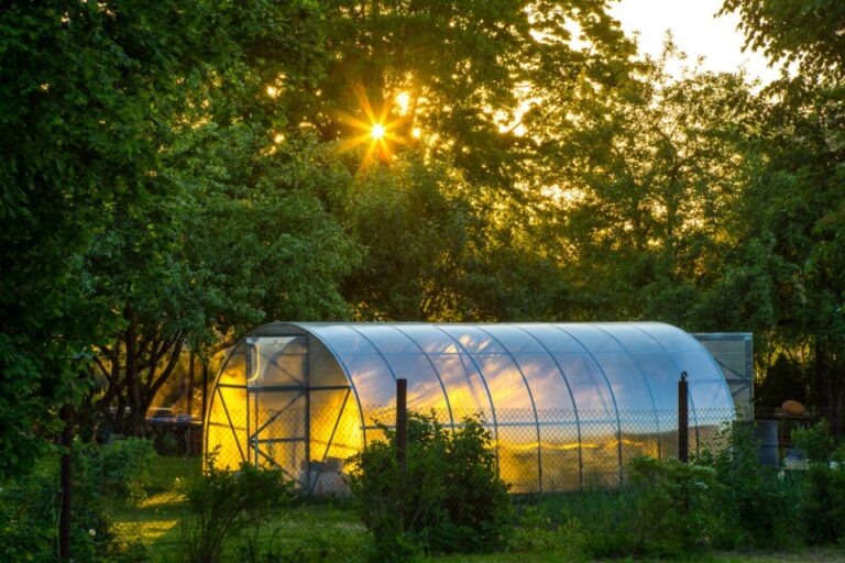 How Does a Greenhouse Work in Summer