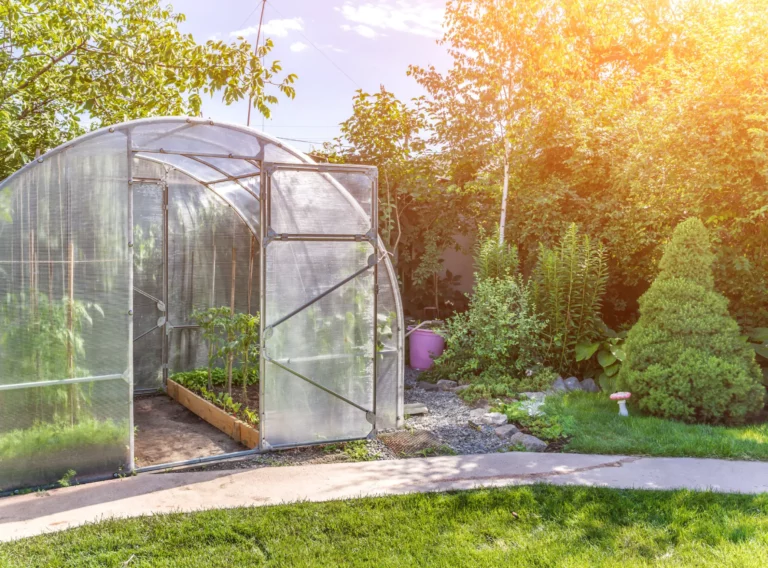 How Much Sun Does A Greenhouse Need