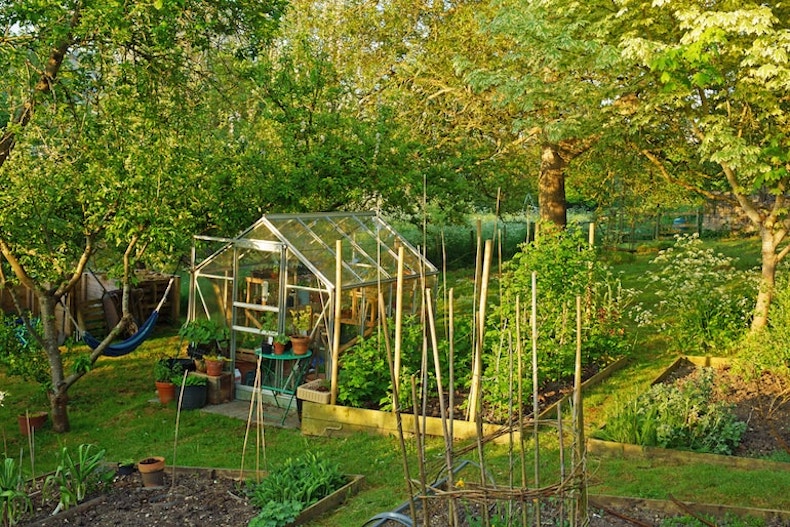 Where to Place Your Greenhouse to Get the Most Sunlight and Warmth