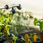 How Often To Water Seedlings In Greenhouse
