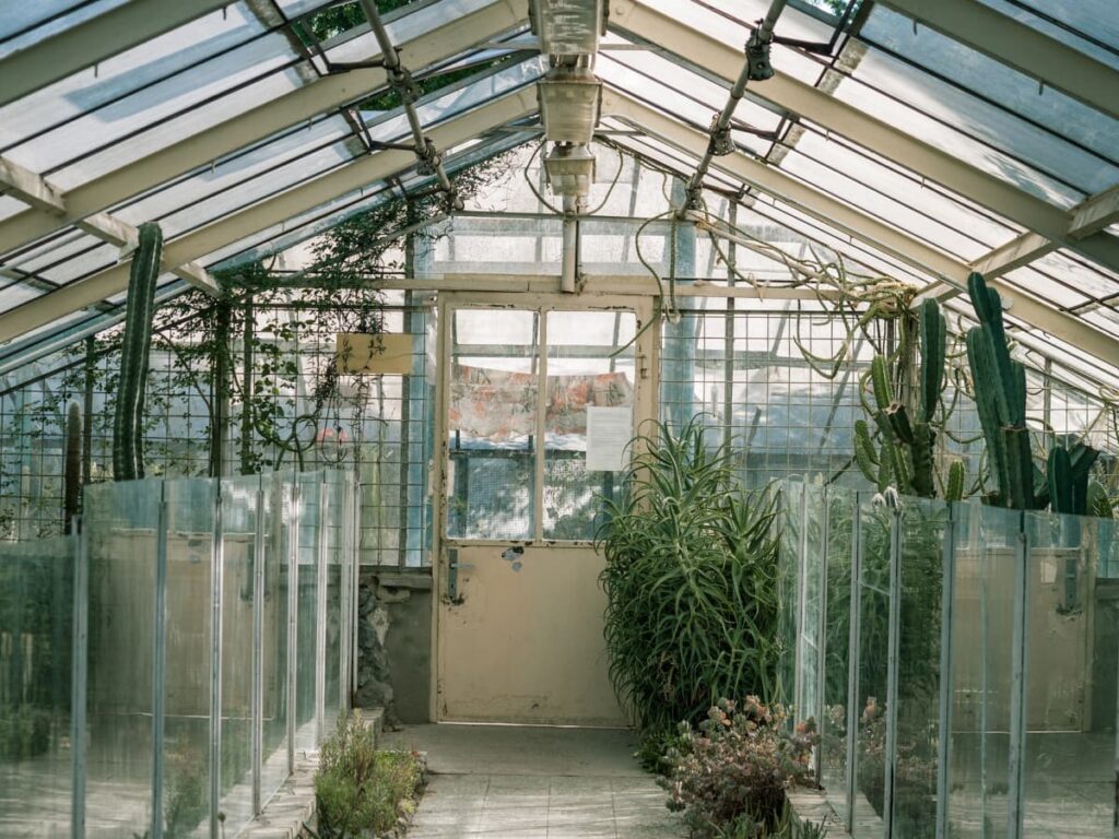 Why Polycarbonate is Ideal for Greenhouses