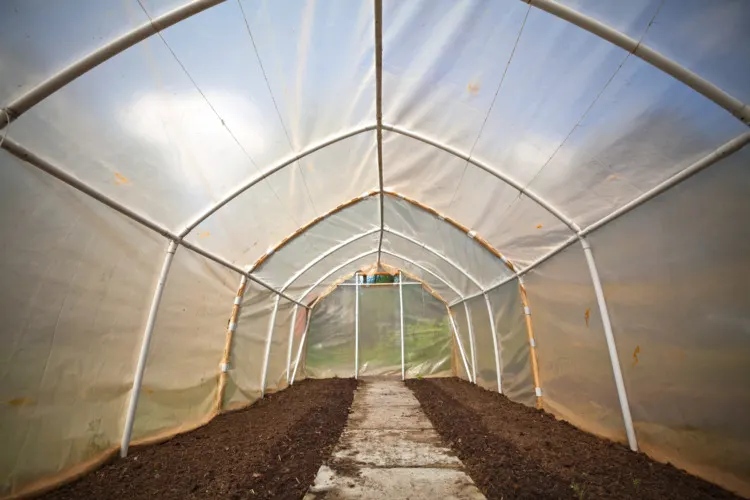 Types of Plastic Materials for Greenhouse Covering