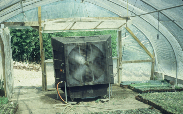 How Can Thermal Mass Improve Greenhouse Temperature Control