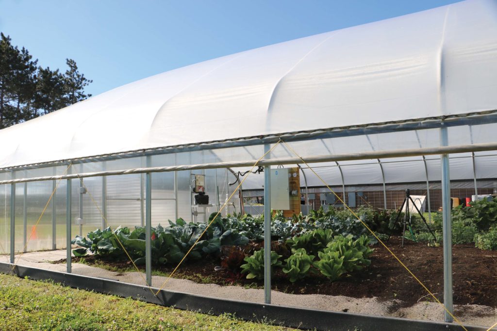 How Can Natural Ventilation Enhance Greenhouse Performance