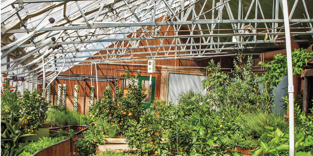 How to Heat A Plastic Greenhouse: Consecutive Steps for Keeping Your Plants Thriving in the Cold Weather