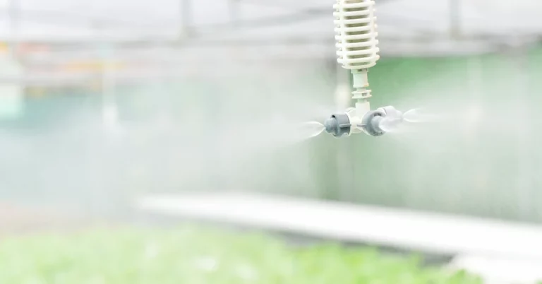 How to Increase Humidity In Greenhouse
