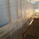 How to Insulate a Greenhouse