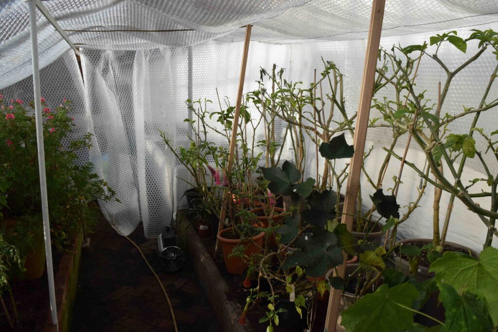 What Materials and Tools are Essential for Greenhouse Insulation