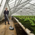 How to Keep Your Greenhouse Clean