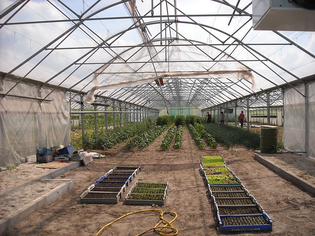 What's the Key to Effective Maintenance in a Greenhouse