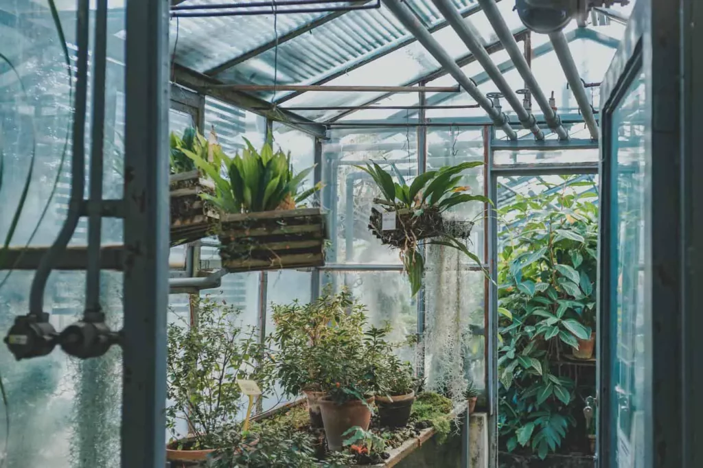 Efficient Strategies for Organizing Your Greenhouse