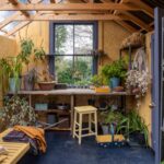 How to Turn a Shed into a Greenhouse