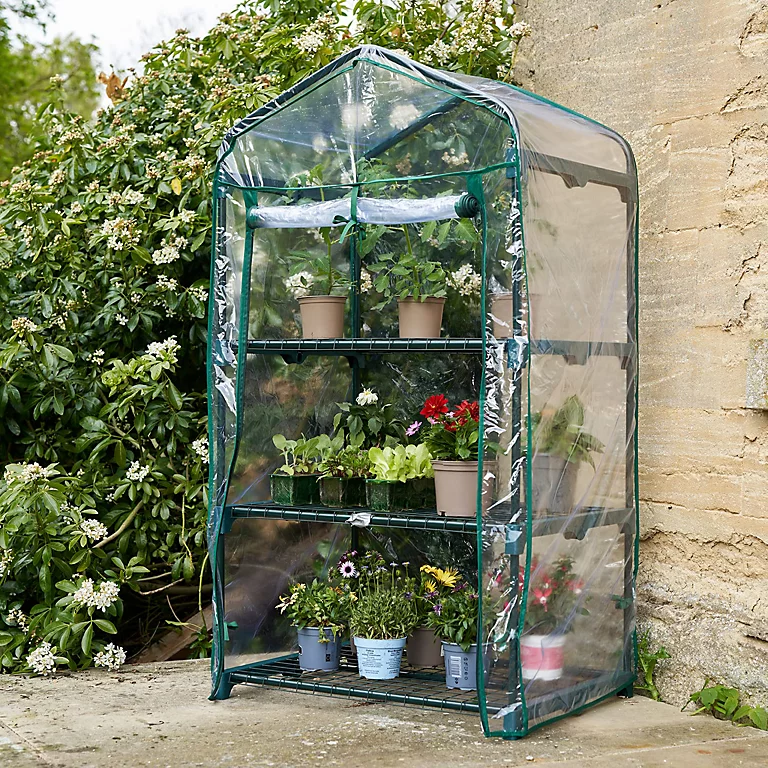 How to Properly Water Your Mini Greenhouse Plants