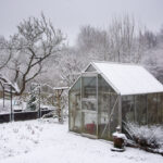 How warm is a greenhouse in winter