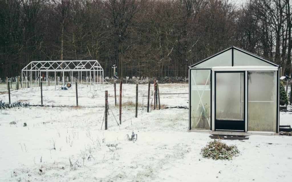 Top methods to keep a warm greenhouse in the winter