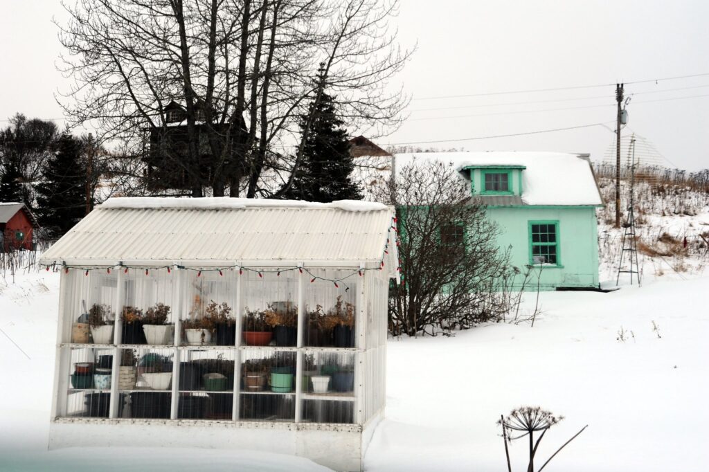 What Happens if your Greenhouse is Damaged in winter