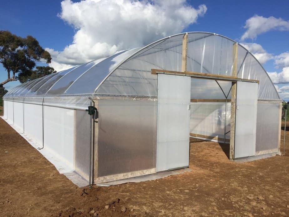 What Are the Advantages of a Polyethylene (PE) Greenhouse