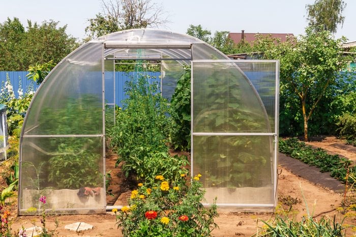 What Factors Influence the Choice of Greenhouse Material