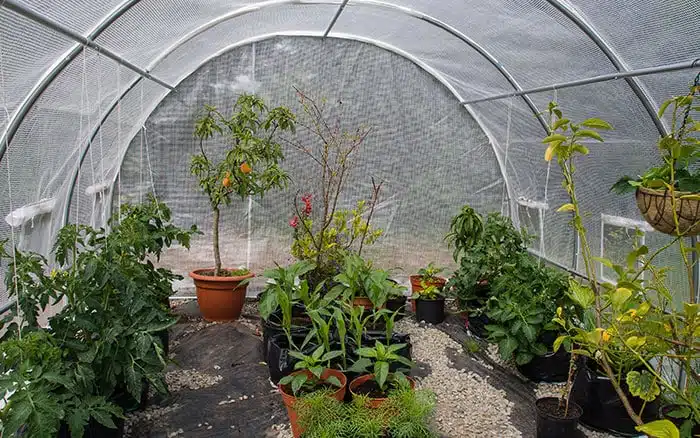 What Are The Features of a Poly Tunnel