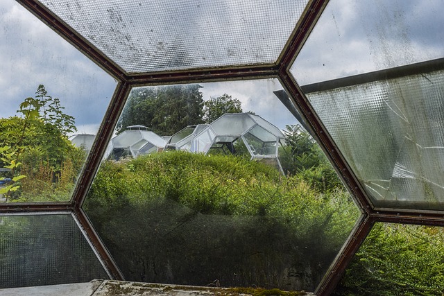 What Factors Should You Consider Between a Poly Tunnel and a Greenhouse