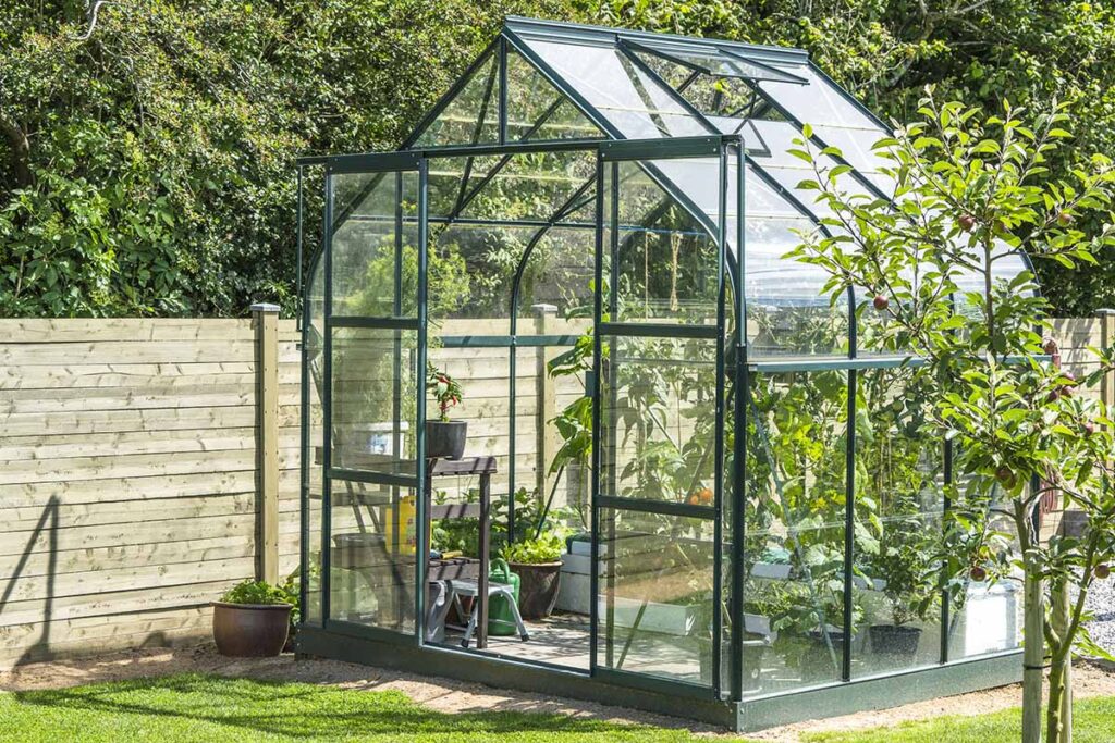 What Is the Impact of Ventilation on Greenhouses