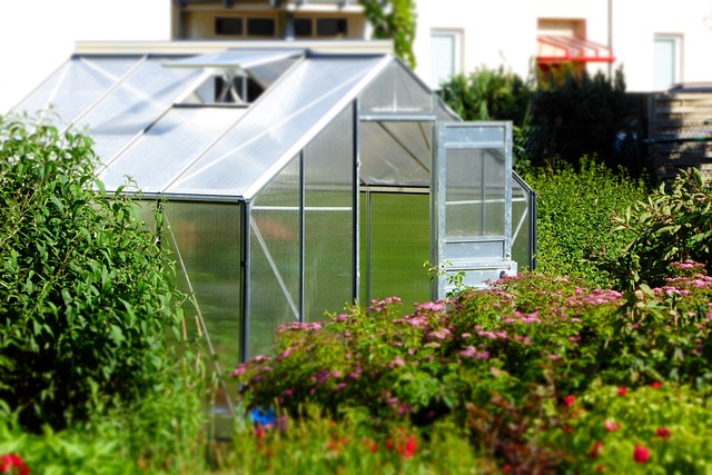 What Are the Key Differences Between Solariums and Greenhouses