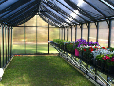 What Percentage Shade Cloth for Greenhouse