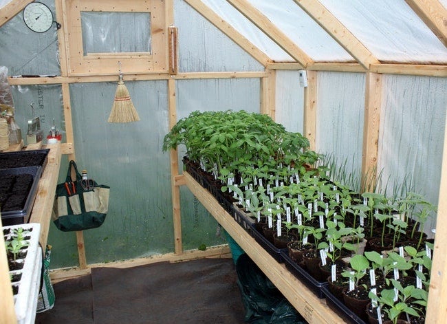 How to Optimize Temperature Management in Your Greenhouse