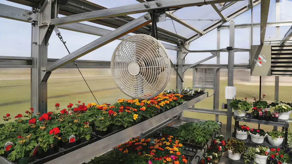 How to regulate greenhouse temperature effectively