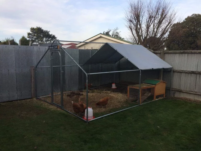 Convert Greenhouse to Chicken Coop