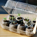 DIY Plastic Bottle Mini Greenhouse