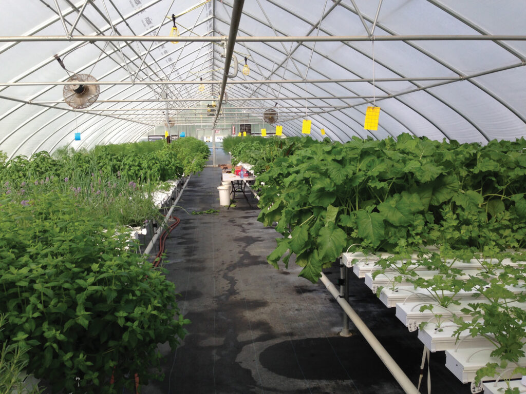 How are Greenhouse Fertigation System Components Defined