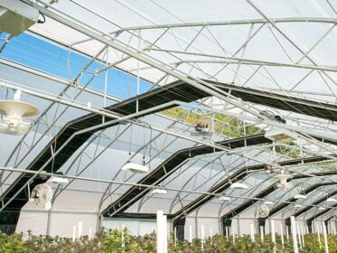 Fully Automated Greenhouse Cost