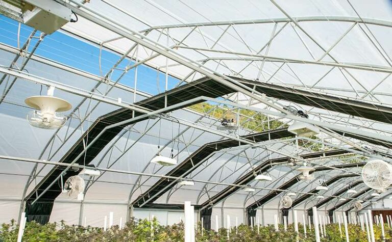 Fully Automated Greenhouse Cost