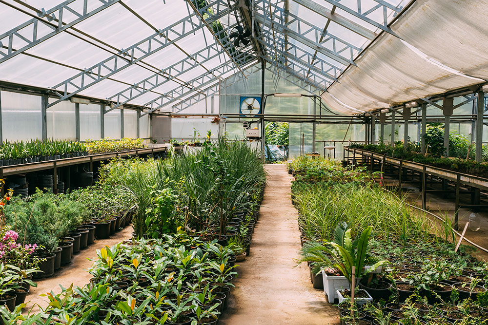What Cost-Benefit Analysis applies to Fully Automated Greenhouses