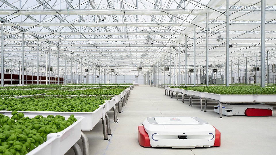 What optimizes plant growth in Greenhouse Climate Control