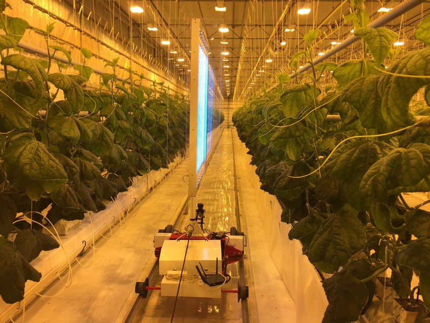 How do top Greenhouse Automation Companies innovate