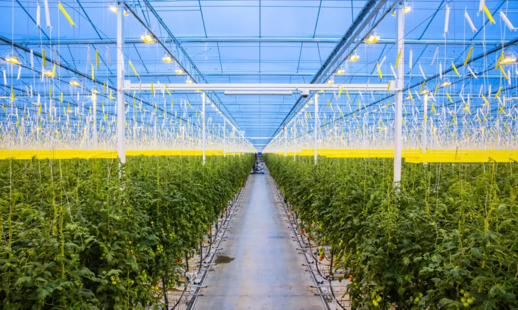What expenses constitute the breakdown of greenhouse costs for 1 acre